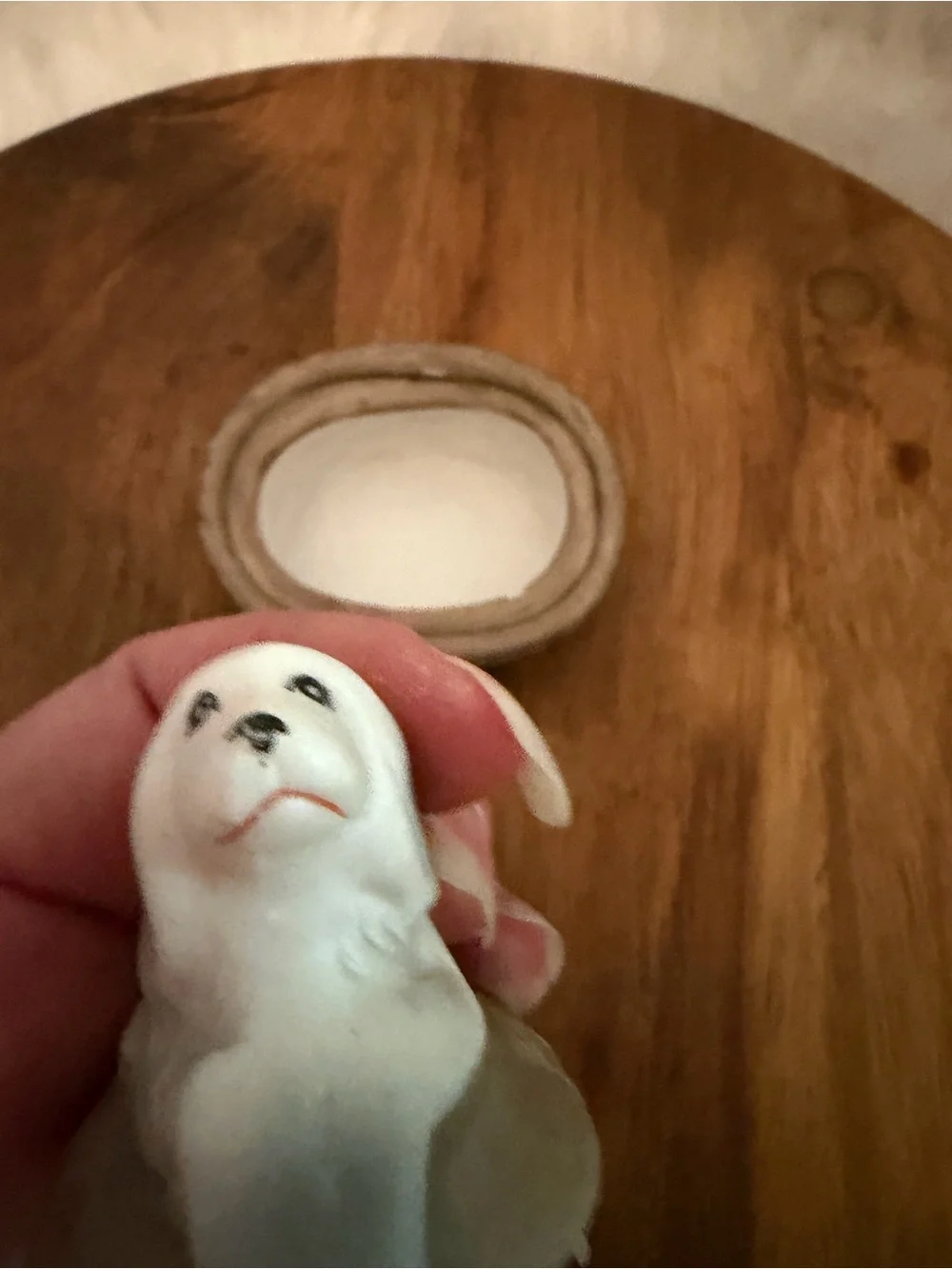 Dog on a Nest Pets Ceramic Dog Figurine in White Trinket Box